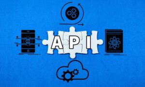 API for Large Data Sets
