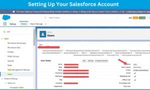 Setting Up Your Salesforce Account