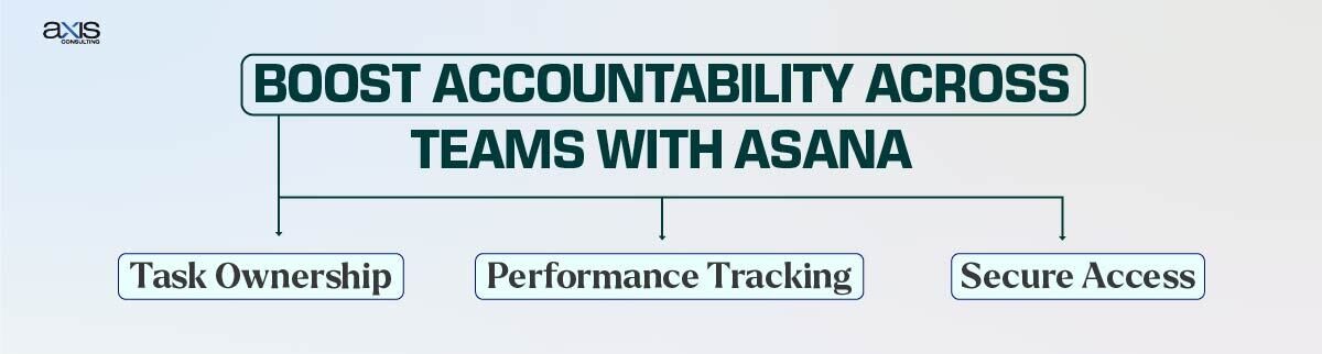 Boost Accountability across Teams with Asana