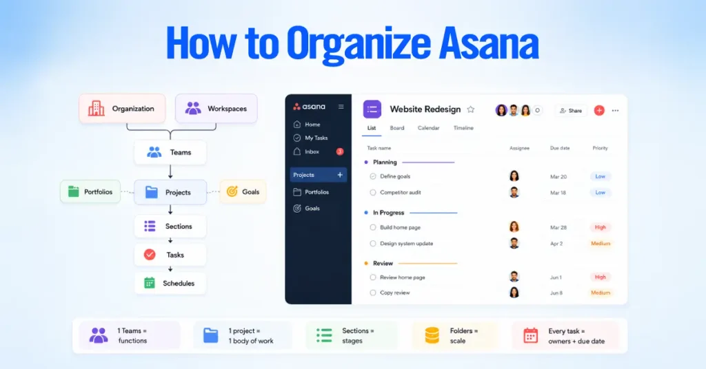 How Should You Organize Asana?